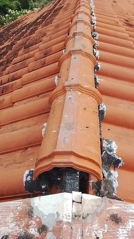 Roof Leak Repair & Waterproofing — 1