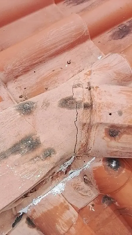 Roof Leak Repair & Waterproofing — 4