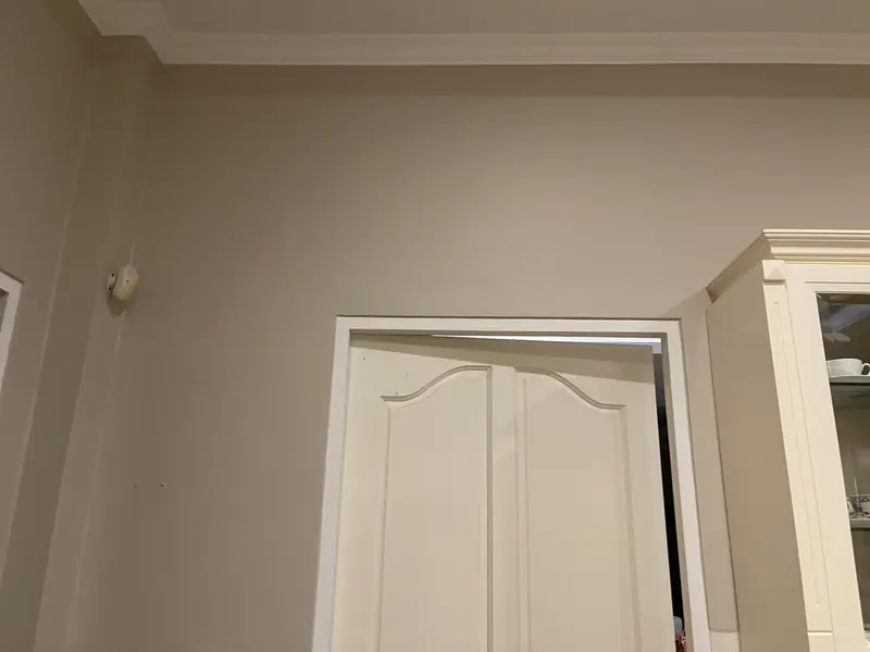 Whole-House Painting & Finishing — 22